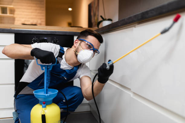 Best Pest Control Near Me in Celina, TX